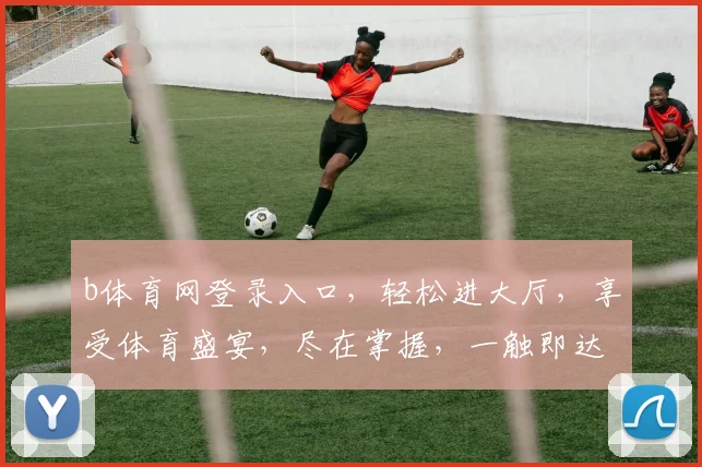 b体育网登录入口，轻松进大厅，享受体育盛宴，尽在掌握，一触即达，畅游体育世界，体验无限精彩