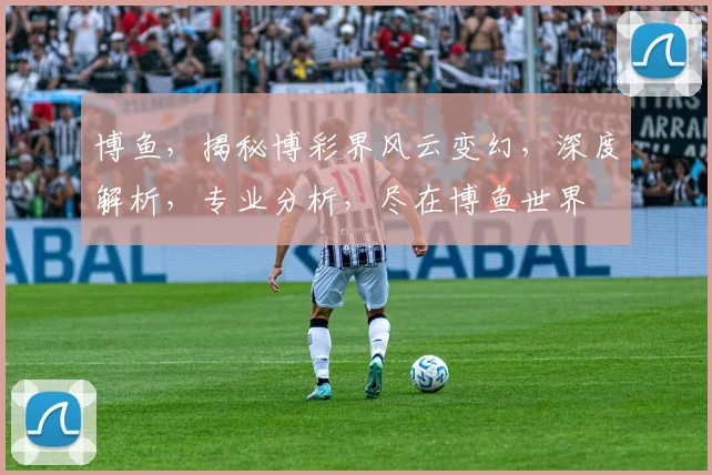 博鱼，揭秘博彩界风云变幻，深度解析，专业分析，尽在博鱼世界