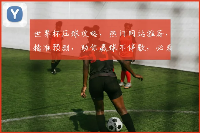 世界杯压球攻略，热门网站推荐，精准预测，助你赢球不停歇，必看攻略，不容错过
